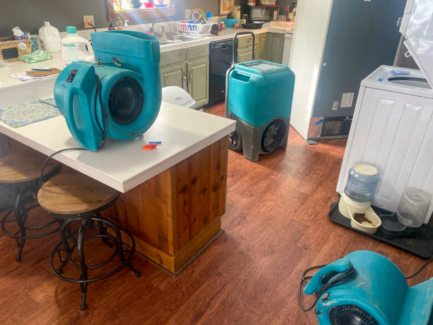 Best Water damage restoration near me  in Oak Ridge, NJ