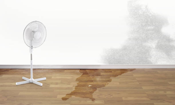 Best Flooded house restoration  in Oak Ridge, NJ
