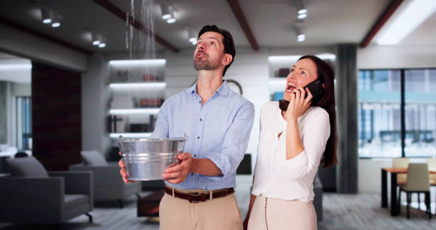 Best Mold removal after water damage  in Oak Ridge, NJ
