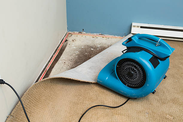 Best Water damage cleanup near me  in Oak Ridge, NJ